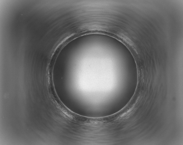 X0000072960782200607282255