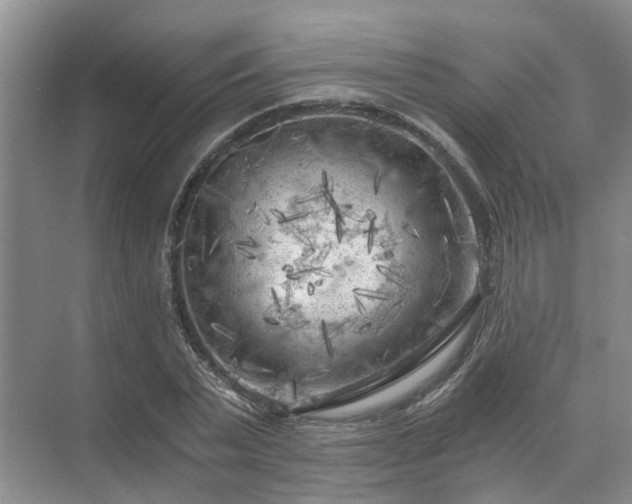 X0000072960783200607282255