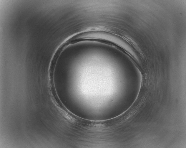 X0000072960784200607282255