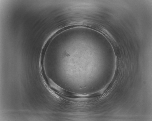 X0000072960788200607282255