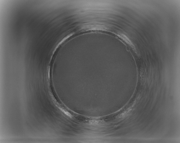 X0000072960790200607282255