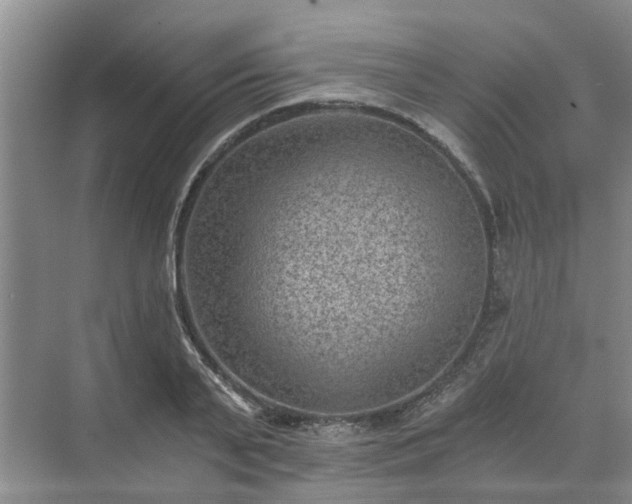 X0000072960791200607282255