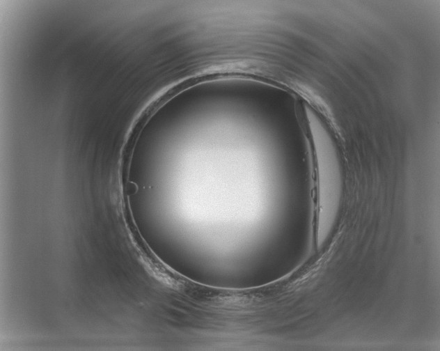 X0000072960792200607282254