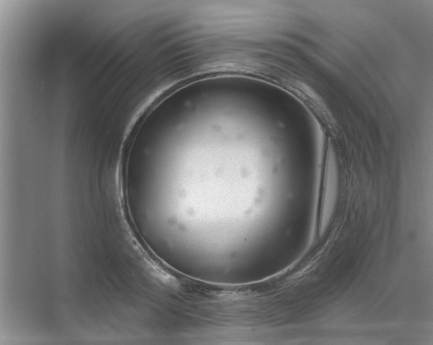 X0000072960796200607282254