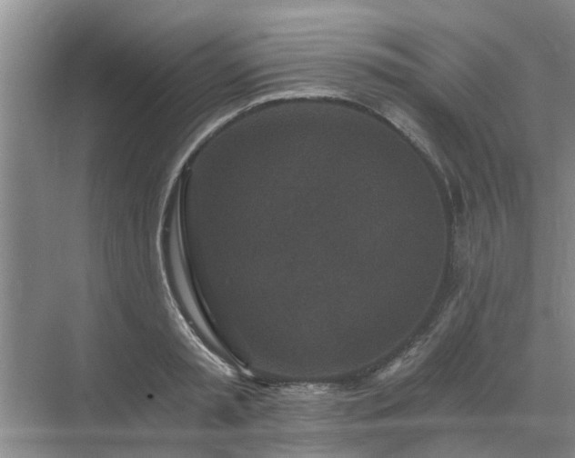 X0000072960797200607282254