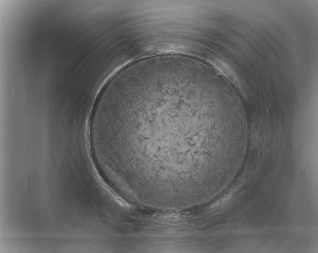 X0000072960798200607282254