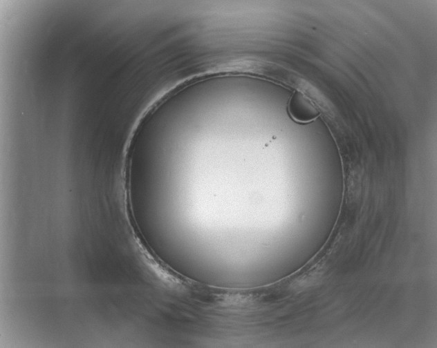 X0000072960800200607282254