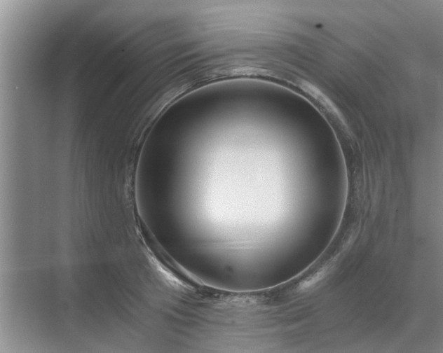 X0000072960801200607282254