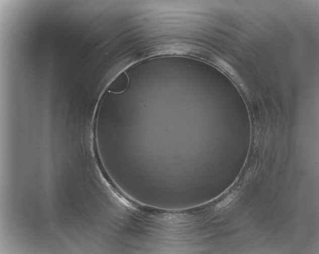 X0000072960802200607282254