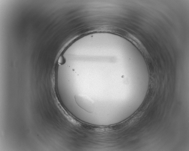 X0000072960804200607282254