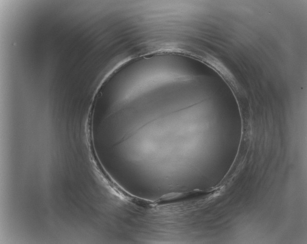 X0000072960806200607282254