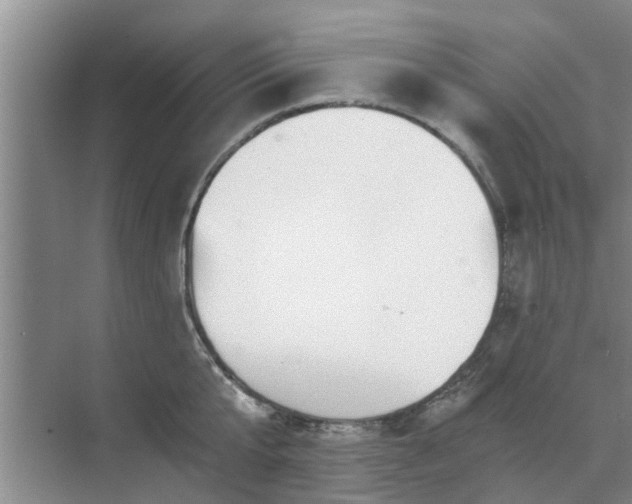 X0000072960807200607282254