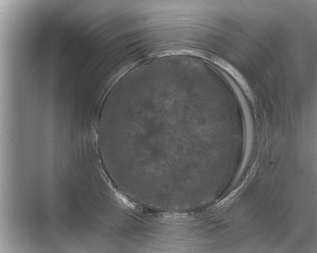 X0000072960809200607282254