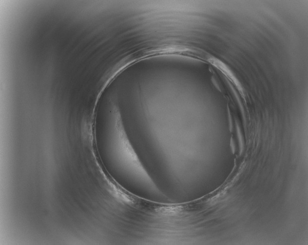 X0000072960810200607282254