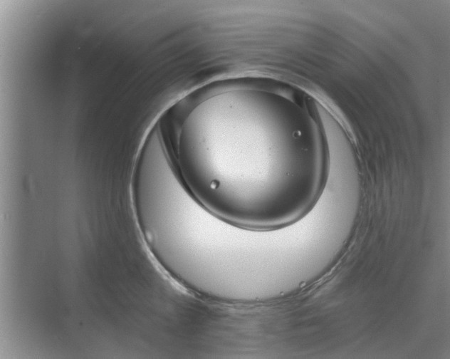 X0000072960813200607282254