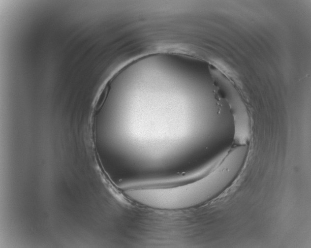 X0000072960816200607282254