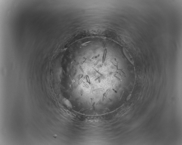 X0000072960817200607282253