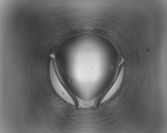 X0000072960818200607282253