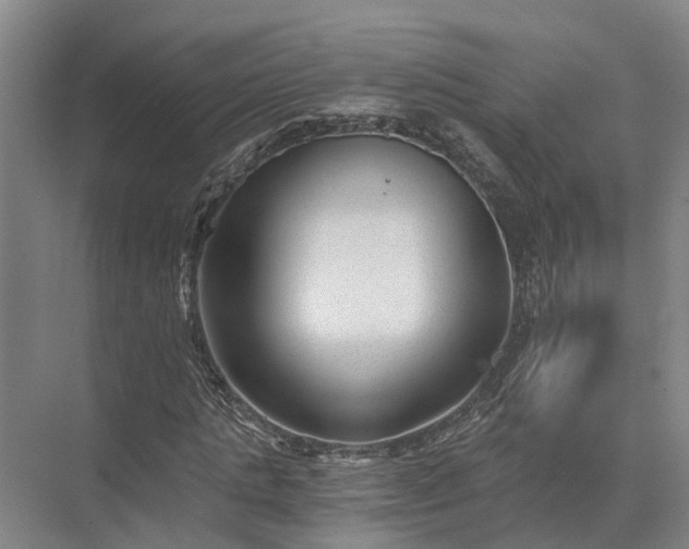 X0000072960821200607282253