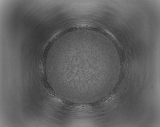 X0000072960823200607282253