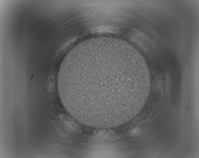 X0000072960824200607282253