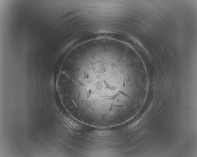 X0000072960825200607282253