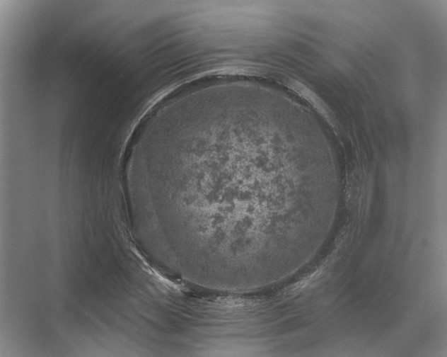 X0000072960829200607282253