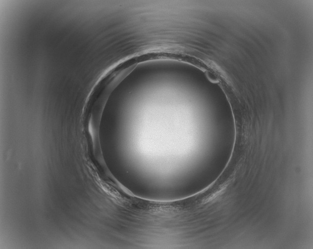 X0000072960830200607282253