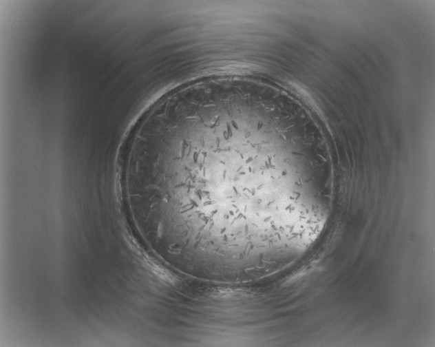 X0000072960835200607282254