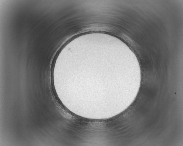 X0000072960836200607282254