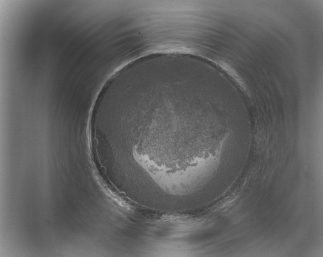 X0000072960840200607282254