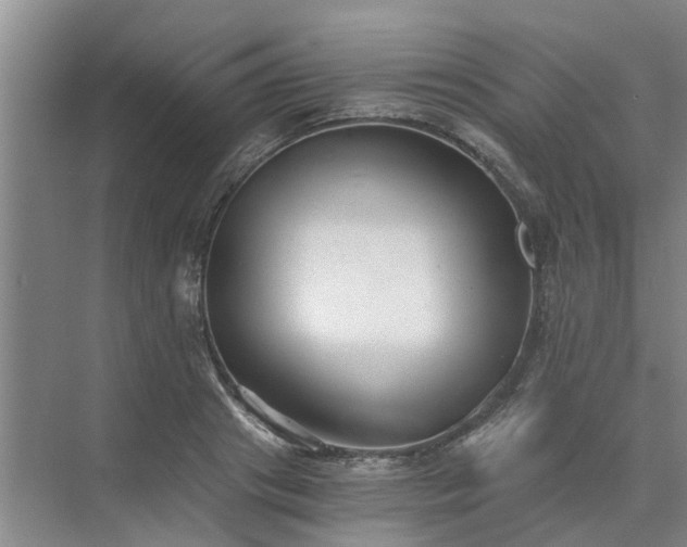 X0000072960841200607282254