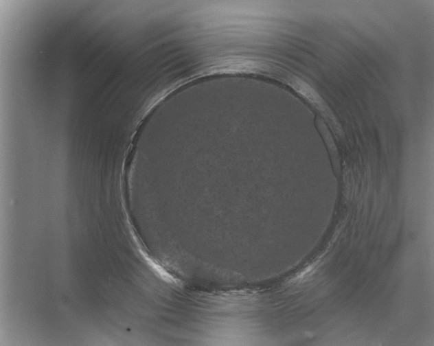 X0000072960842200607282254