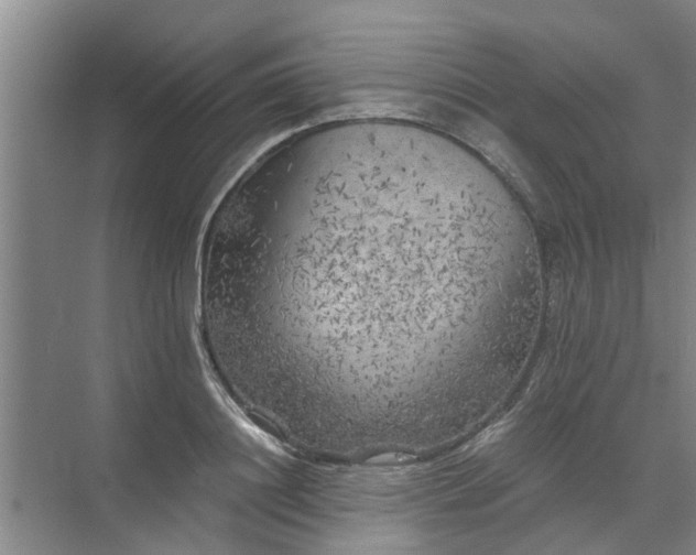 X0000072960844200607282254