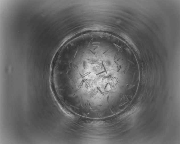 X0000072960845200607282254