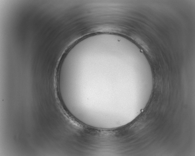 X0000072960848200607282254