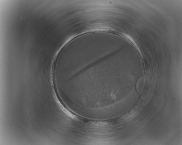 X0000072960851200607282254