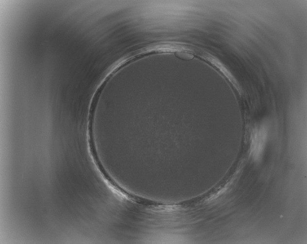 X0000072960853200607282254