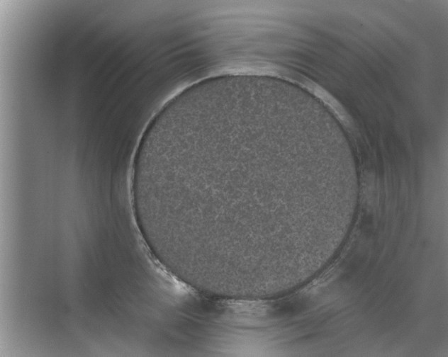 X0000072960856200607282254