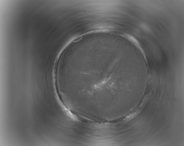 X0000072960859200607282254