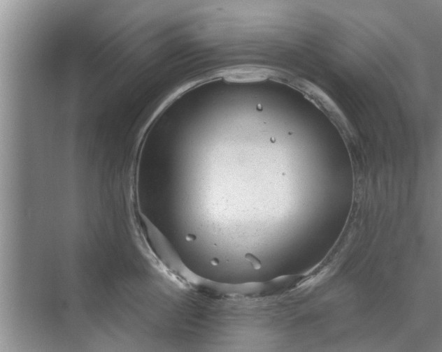 X0000072960860200607282254