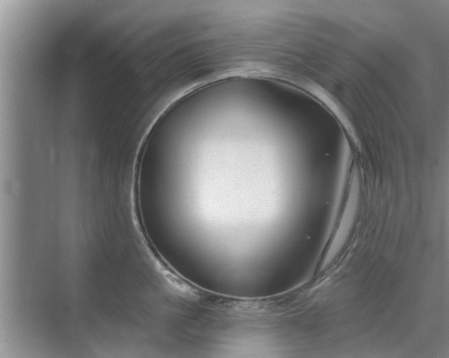 X0000072960861200607282254