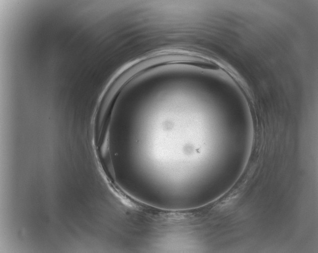 X0000072960862200607282254