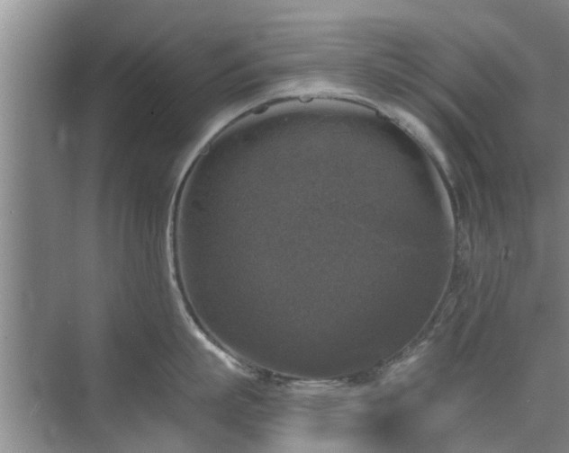 X0000072960863200607282254