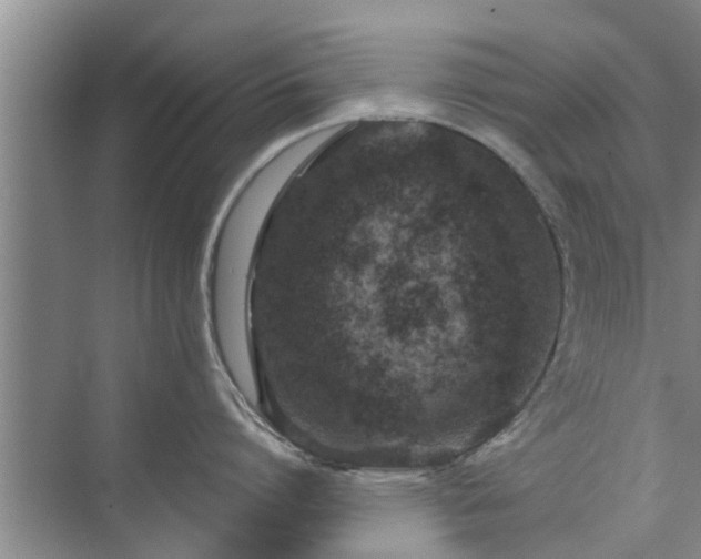 X0000072960864200607282254