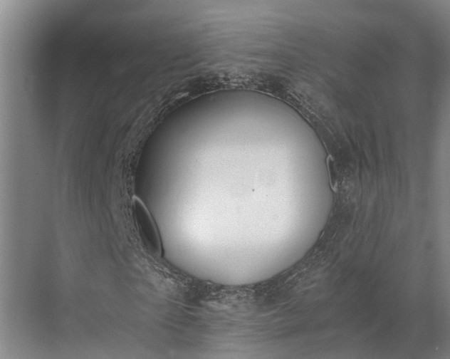 X0000072960865200607282253