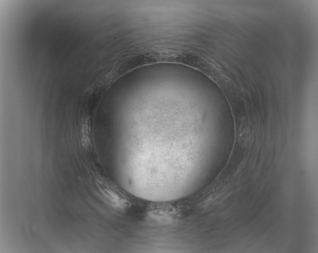 X0000072960866200607282253