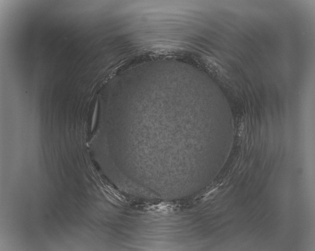 X0000072960868200607282253