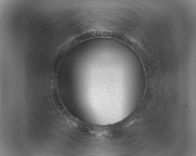 X0000072960870200607282253