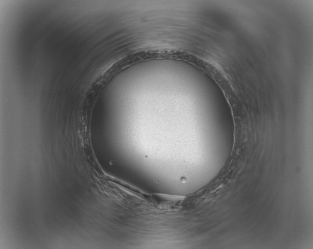 X0000072960871200607282253